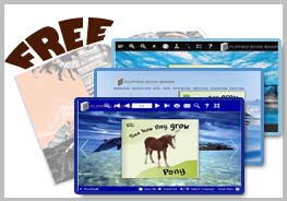 flipping-book-dolphin-theme