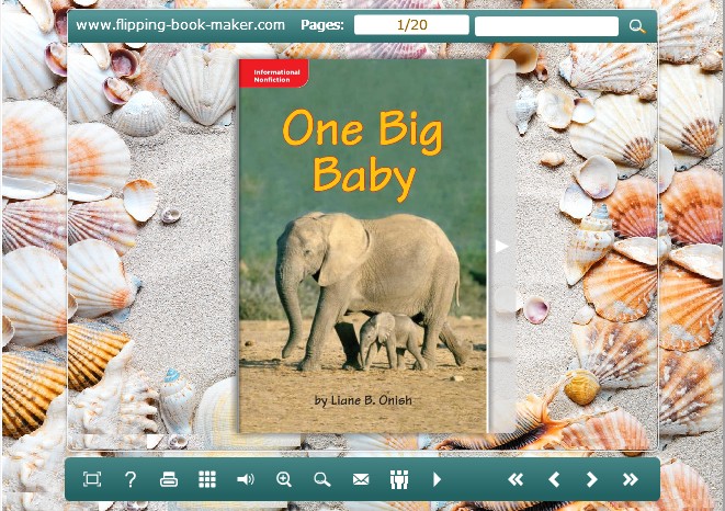 shell templates for PDF to Flipping book Pro